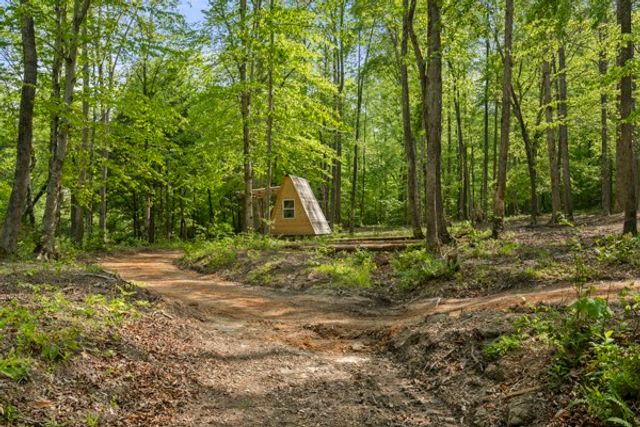 1240 Tanner Hollow Rd, Centerville, TN 37033