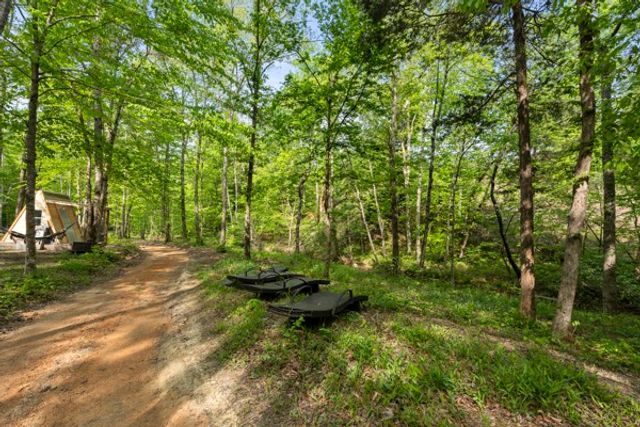 1240 Tanner Hollow Rd, Centerville, TN 37033
