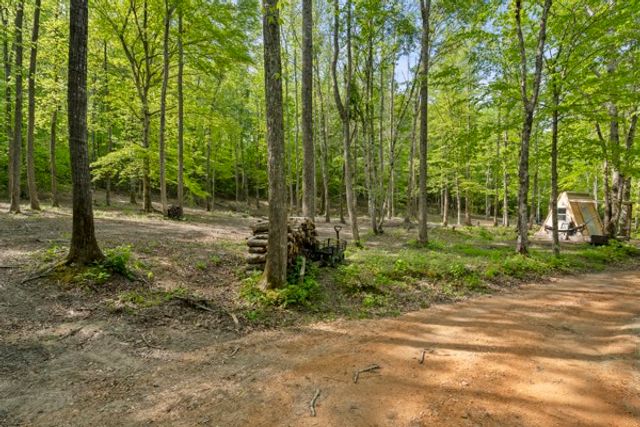 1240 Tanner Hollow Rd, Centerville, TN 37033