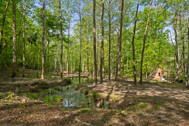 1240 Tanner Hollow Rd, Centerville, TN 37033