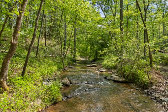 1240 Tanner Hollow Rd, Centerville, TN 37033