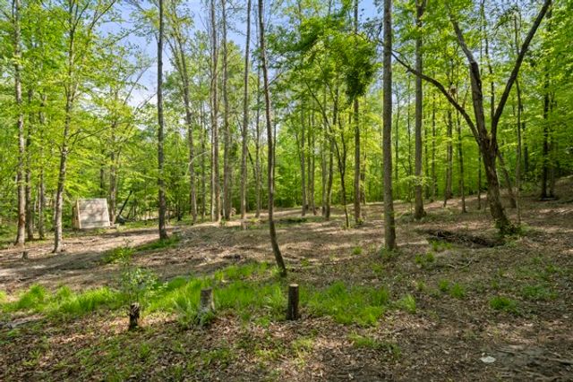 1240 Tanner Hollow Rd, Centerville, TN 37033
