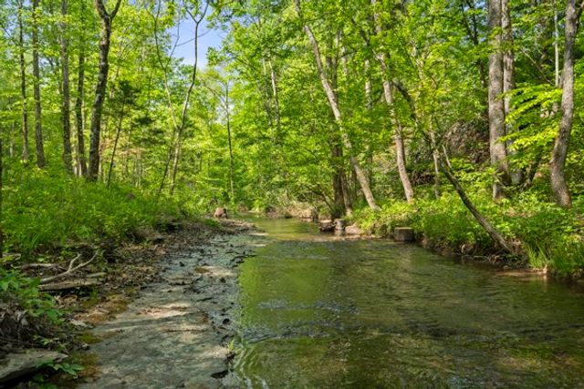 1240 Tanner Hollow Rd, Centerville, TN 37033