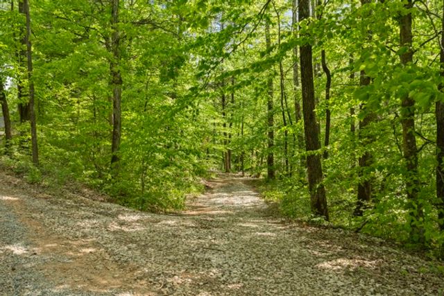 1240 Tanner Hollow Rd, Centerville, TN 37033