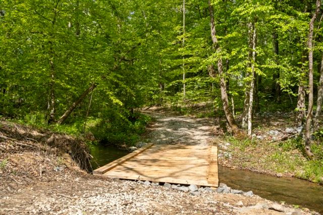 1240 Tanner Hollow Rd, Centerville, TN 37033