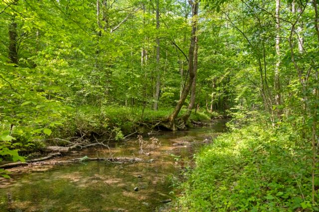 1240 Tanner Hollow Rd, Centerville, TN 37033