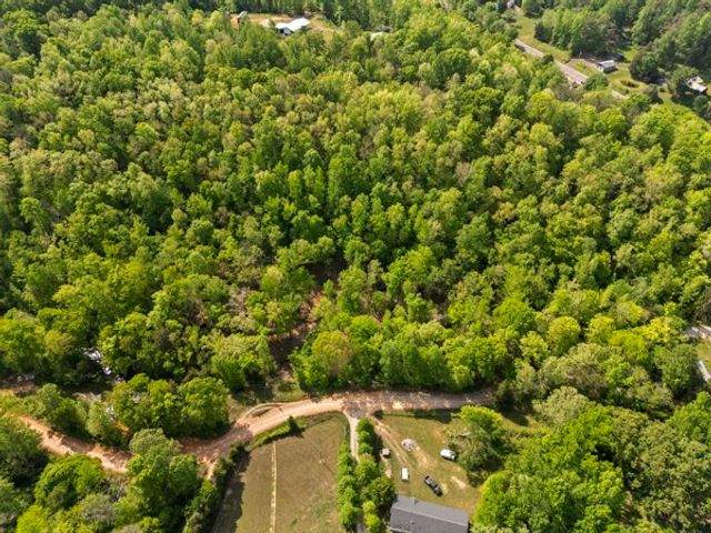 1240 Tanner Hollow Rd, Centerville, TN 37033