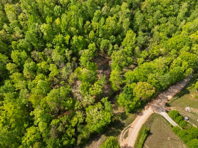 1240 Tanner Hollow Rd, Centerville, TN 37033