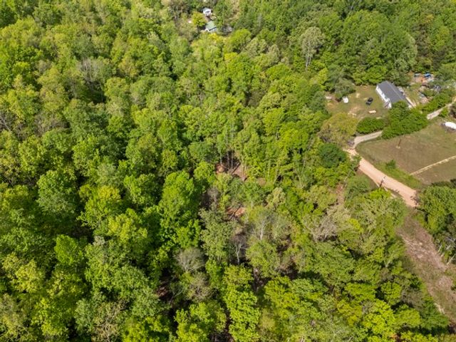 1240 Tanner Hollow Rd, Centerville, TN 37033