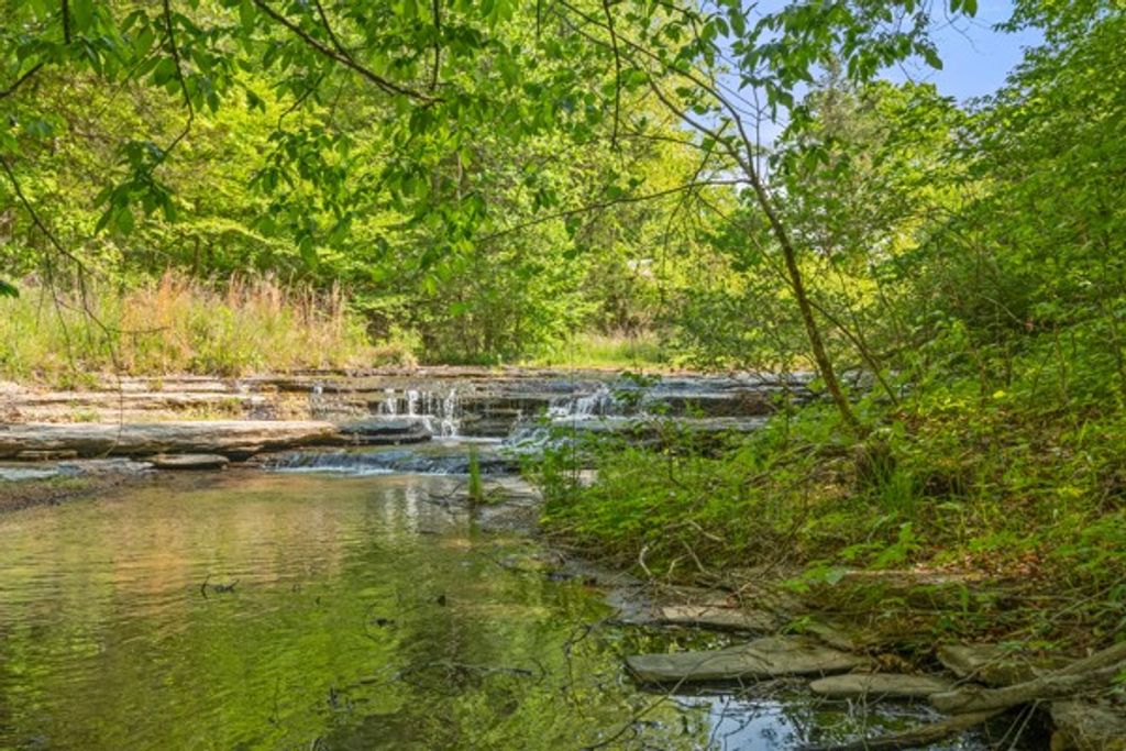 1240 Tanner Hollow Rd, Centerville, TN 37033