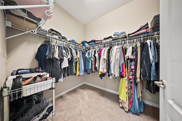 15196 NEWTONIA STREET, Winter Garden, FL 34787