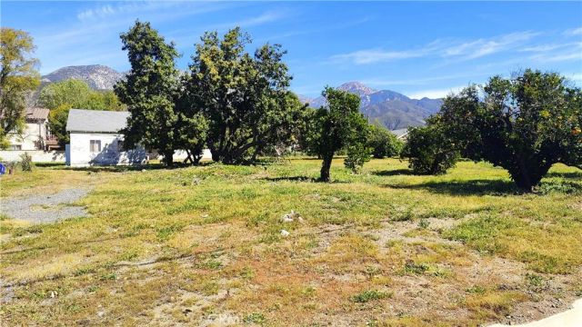 425 E 24th, Upland, CA 91784