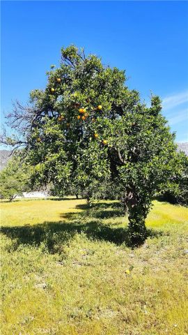 425 E 24th, Upland, CA 91784