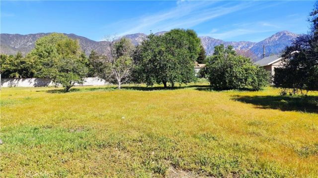 425 E 24th, Upland, CA 91784