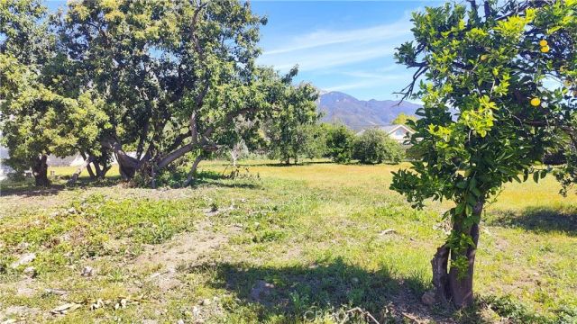 425 E 24th, Upland, CA 91784