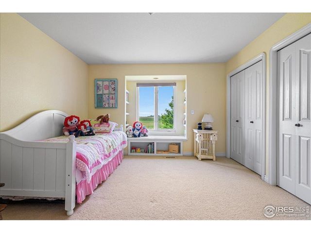 9088 Golden Fields Ln, Loveland, CO 80538