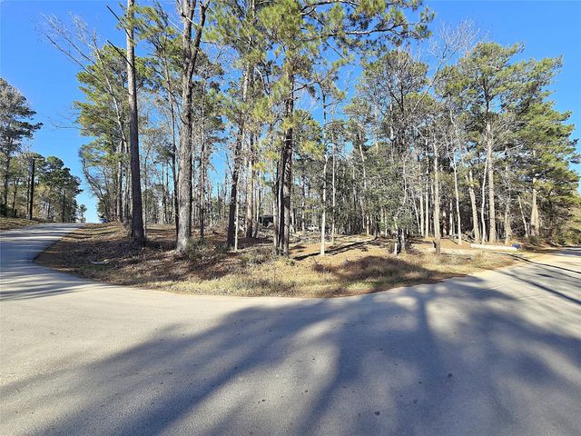 20 Morris Creek Road, Coldspring, TX 77331