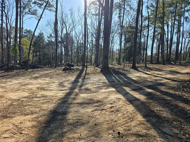 20 Morris Creek Road, Coldspring, TX 77331