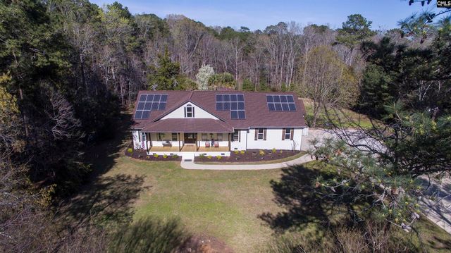 141 Eagle Chase Court, Chapin, SC 29036