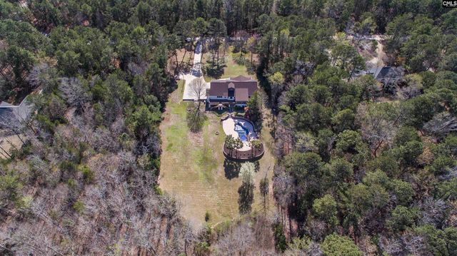 141 Eagle Chase Court, Chapin, SC 29036