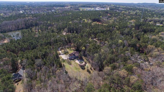 141 Eagle Chase Court, Chapin, SC 29036