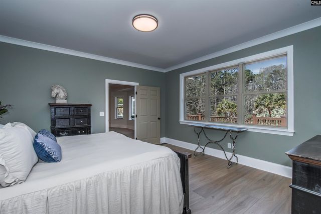 141 Eagle Chase Court, Chapin, SC 29036