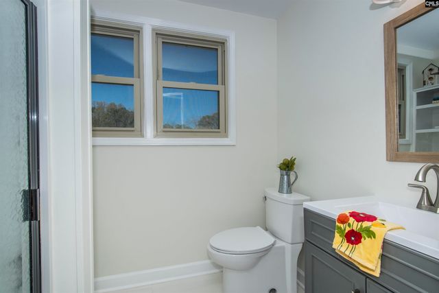 141 Eagle Chase Court, Chapin, SC 29036