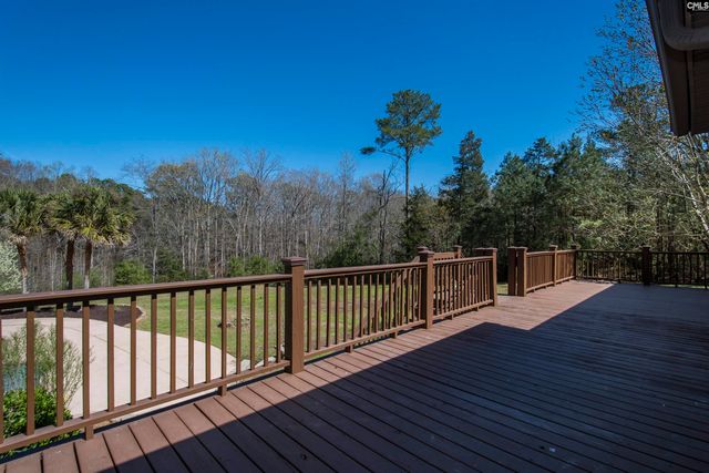 141 Eagle Chase Court, Chapin, SC 29036