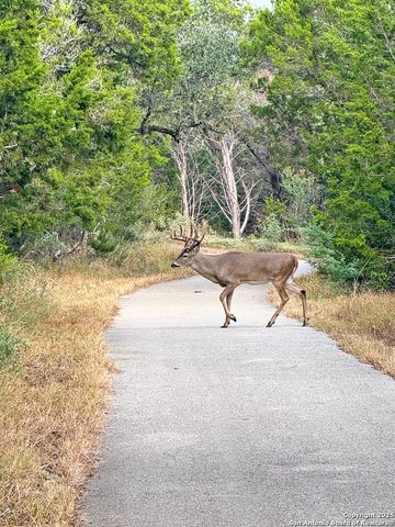 4014 Arena Blanca, San Antonio, TX 78261
