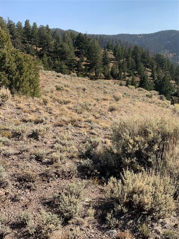 5079&5087 Delancey Road, Fort Garland, CO 81133