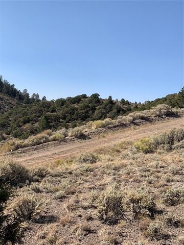 5079&5087 Delancey Road, Fort Garland, CO 81133