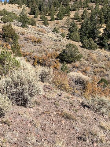 5079&5087 Delancey Road, Fort Garland, CO 81133