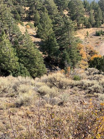 5079&5087 Delancey Road, Fort Garland, CO 81133