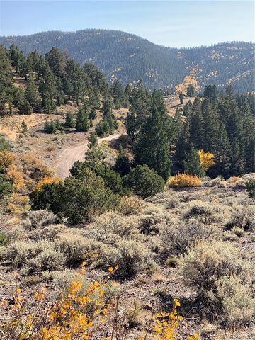 5079&5087 Delancey Road, Fort Garland, CO 81133