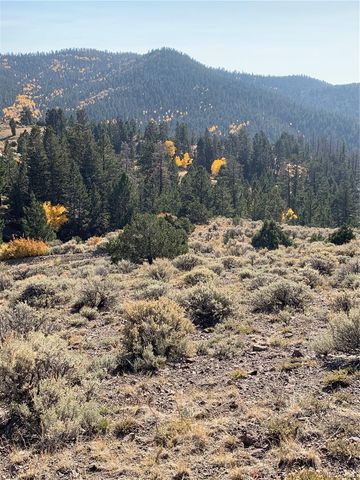 5079&5087 Delancey Road, Fort Garland, CO 81133