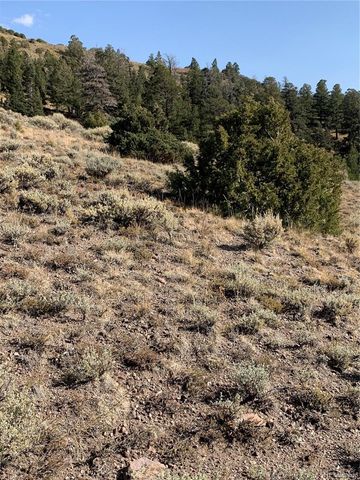 5079&5087 Delancey Road, Fort Garland, CO 81133