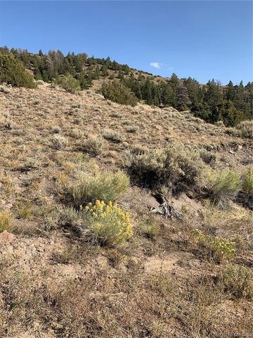 5079&5087 Delancey Road, Fort Garland, CO 81133