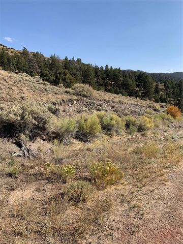 5079&5087 Delancey Road, Fort Garland, CO 81133