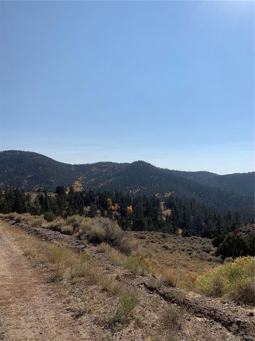 5079&5087 Delancey Road, Fort Garland, CO 81133