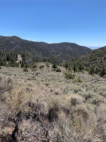 5079&5087 Delancey Road, Fort Garland, CO 81133