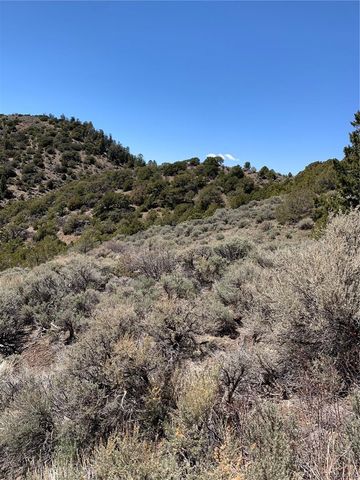 5079&5087 Delancey Road, Fort Garland, CO 81133