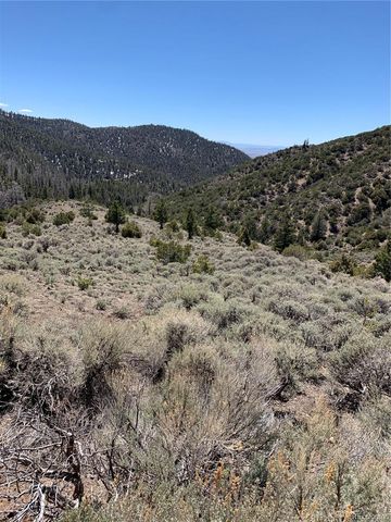 5079&5087 Delancey Road, Fort Garland, CO 81133