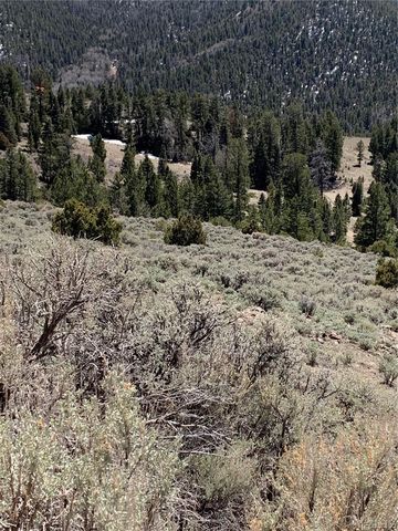 5079&5087 Delancey Road, Fort Garland, CO 81133