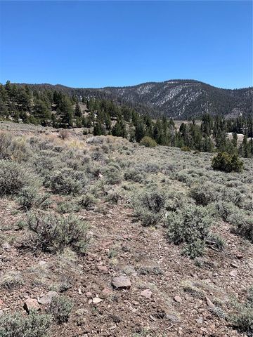 5079&5087 Delancey Road, Fort Garland, CO 81133