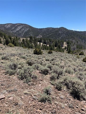 5079&5087 Delancey Road, Fort Garland, CO 81133