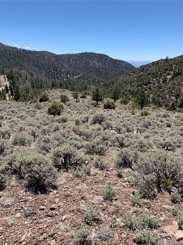 5079&5087 Delancey Road, Fort Garland, CO 81133