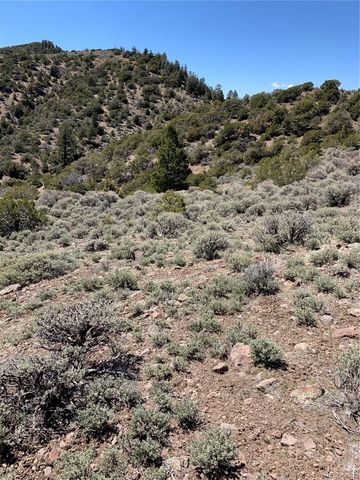 5079&5087 Delancey Road, Fort Garland, CO 81133