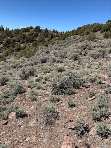 5079&5087 Delancey Road, Fort Garland, CO 81133