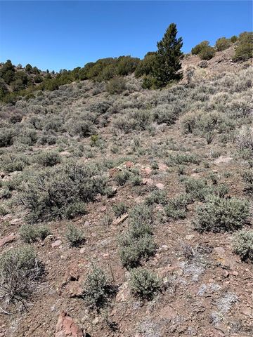 5079&5087 Delancey Road, Fort Garland, CO 81133