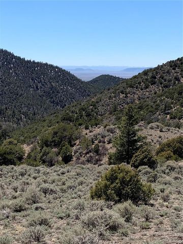 5079&5087 Delancey Road, Fort Garland, CO 81133